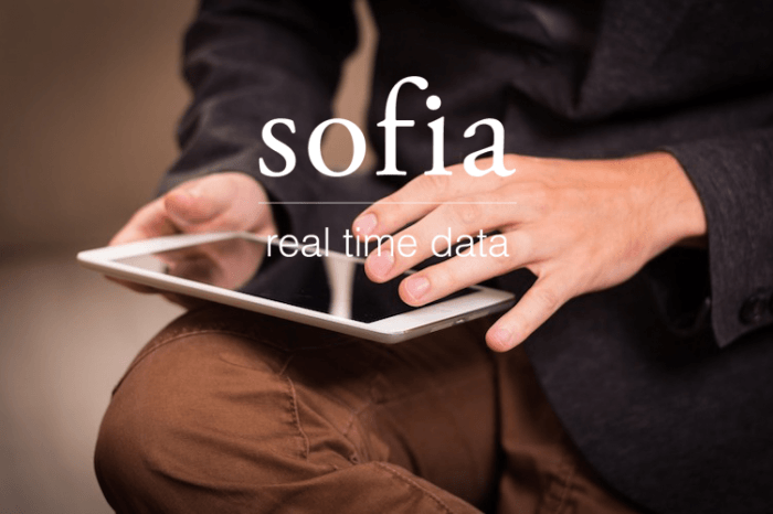 Sofia RTD, un nuevo enfoque a la gestión inmobiliaria